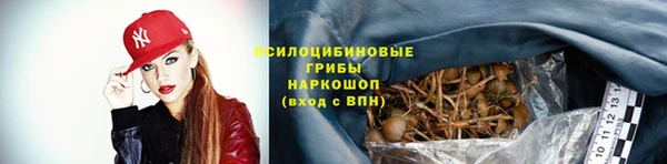 spice Куйбышев