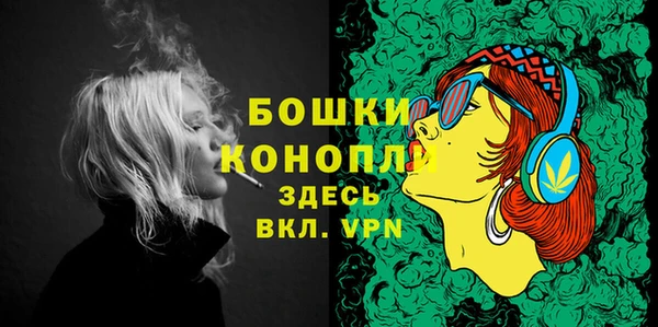 твердый Кулебаки