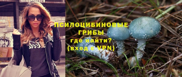 твердый Кулебаки