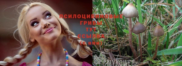 сатива Алексин