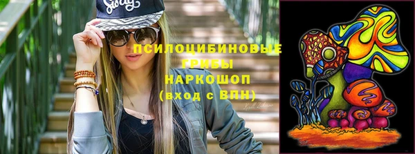 spice Куйбышев